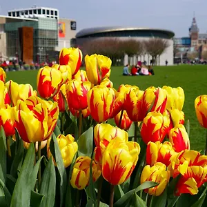 De Hallen Appartamento Amsterdam